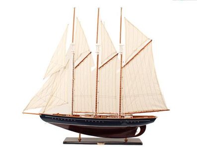 3 Master Marco Polo 90cm