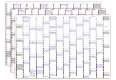 3 Stück XXXL Wandkalender Special A0 2027 nass abwischbar (Format 120 x 80cm)