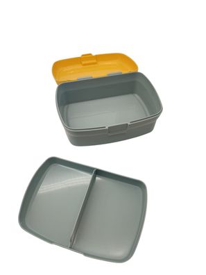 LÄSSIG Lunch Set Brotdose Trinkflasche 460 ml About Friends Lion