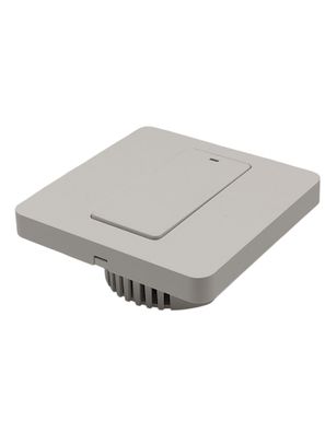 Intelligenter WLAN-Wandschalter 2-Kanal Alexa Google Assistant