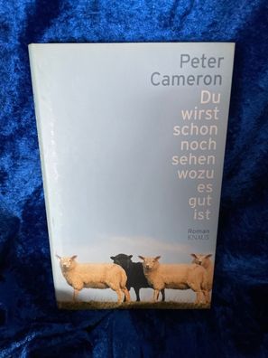 Du wirst schon noch sehen wozu es gut ist: Roman
