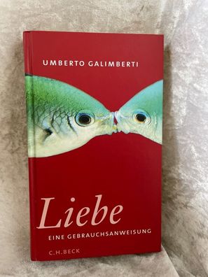 Liebe. Eine Gebrauchsanweisung