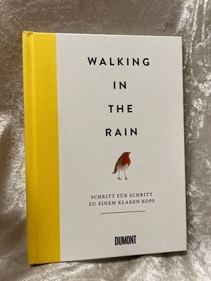 Walking in the Rain: Schritt fér Schritt zu einem klaren Kopf