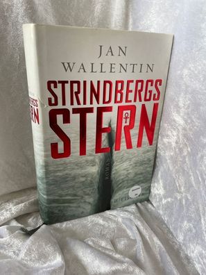 Strindbergs Stern: Roman (Fischer HC)