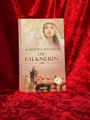 Die Falknerin : historischer Roman