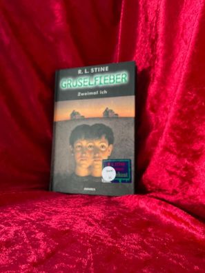 Stine, R. L.: Gruselfieber; Teil: Bd. 4., Zweimal ich