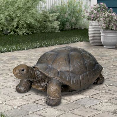 75 cm x 40 cm x 30 cm Höhe Graue Beton-Schildkröten-Gartenstatue, Gartenskulpturen