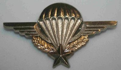 Fallschirmspringerabzeichen/ Military Parachute Badge