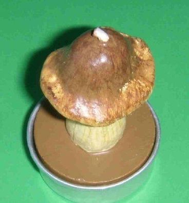 Teelicht "Pilz"