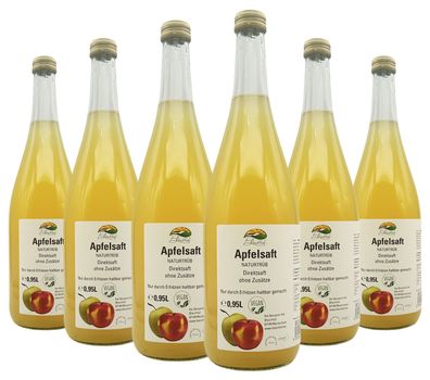 Bleichhof Apfelsaft naturtrüb - 100% Direktsaft, OHNE Zuckerzusatz (6x 0,95l)