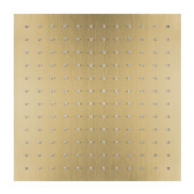 Herzbach DESIGN IX PVD Regenbrause square 300 * 300 mm Brass
