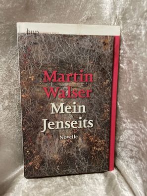 Mein Jenseits. Novelle