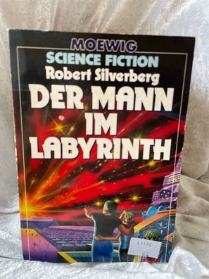 Der Mann im Labyrinth