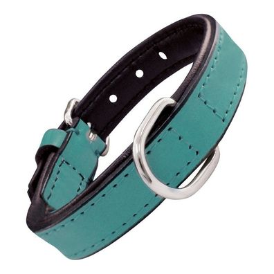Hundehalsband Gloria Polsterung türkis (30 x 1,5 cm)