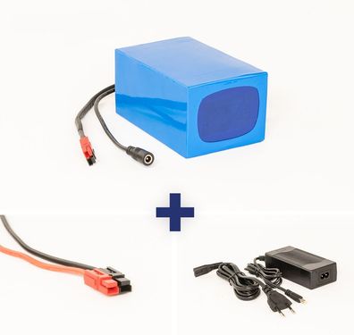 Lithium-Ionen Akku 24V 10Ah 240Wh Akkupack incl. 5A BMS & Ladegerät für LED's,