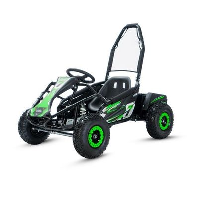 Elektro Buggy Kinderbuggy Strandbuggy Elektrobuggy Ecobuggy 1000W 48V