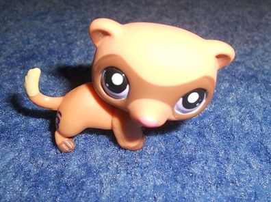 Littlest Pet Shop Hasbro 2006 - Hund -kleine Spielfigur