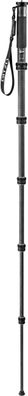 Gitzo Einbeinstativ GM2562T Traveller