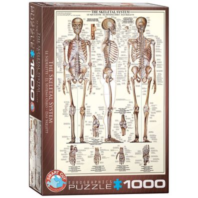 Puzzle - Das Skelett - 1000 Teile