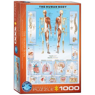 Puzzle - Der menschliche Körper - 1000 Teile