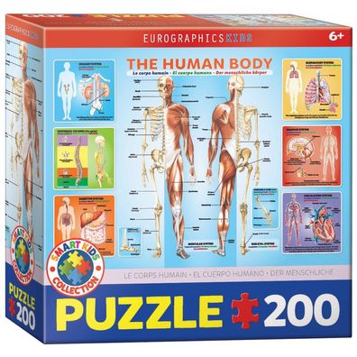 Puzzle - Der menschliche Körper 200 Teile