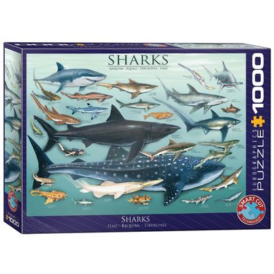 Puzzle - Haie - 1000 Teile