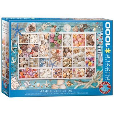 Puzzle - Muschelsammlung - 1000 Teile