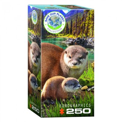 Puzzle - Otter - 250 Teile