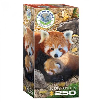 Puzzle - Rote Pandas - 250 Teile