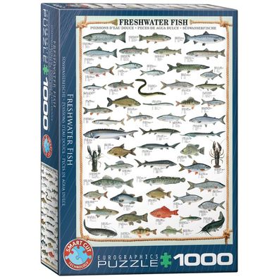 Puzzle - Süßwasserfische - 1000 Teile