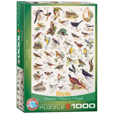 Puzzle - Vögel - 1000 Teile