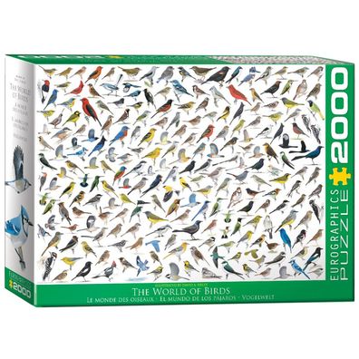 Puzzle - Vogelwelt - 2000 Teile