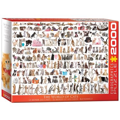 Puzzle - Welt der Katzen - 2000 Teile