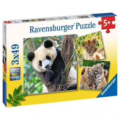 Puzzle - Panda, Tiger und Löwe (3x49 Teile)