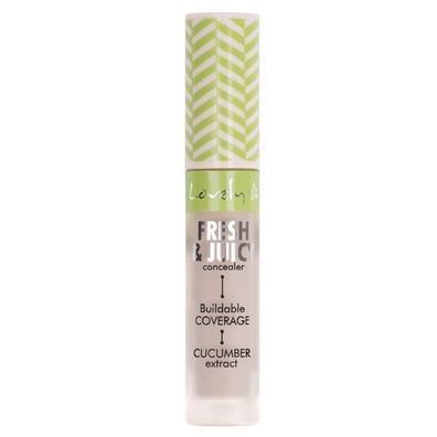 Professioneller Highlighter & Concealer - Makelloses Finish, 4.8g