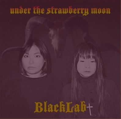 BlackLab: Under The Strawberry Moon - 375 Media - (CD / U)