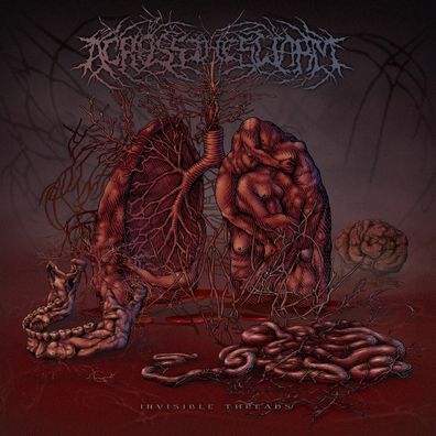 Across The Swarm - Invisible Threads LP (Black Vinyl)