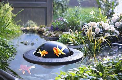 Weltbild Fish Dome Fischkugel für den Teich Lupeneffekt Ø 30 cm