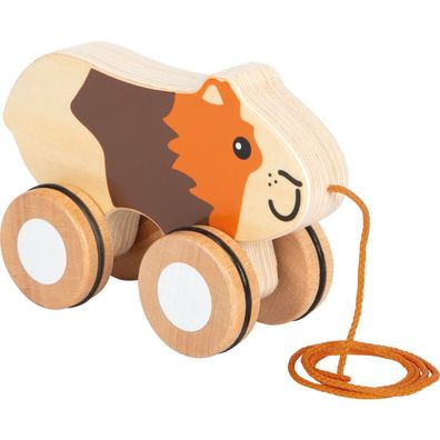 Nachziehtier Meerschweinchen