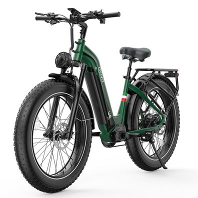 26 Zoll Tiefeinsteiger Offroad-E-Mountainbike mit Gepäckträger 250W Elektrofahrrad
