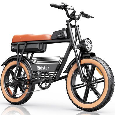 E-Mountainbike mit Hochleistungsmotor und Erweiterter Sitz 20 Zoll Offroad Reifen