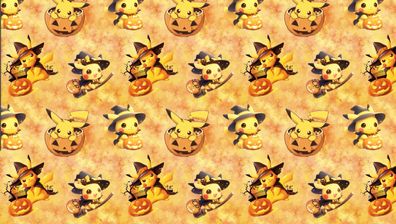 Vorbestellung verschiedener Stoffarten French Terry oder Jersey oder Softshell 308