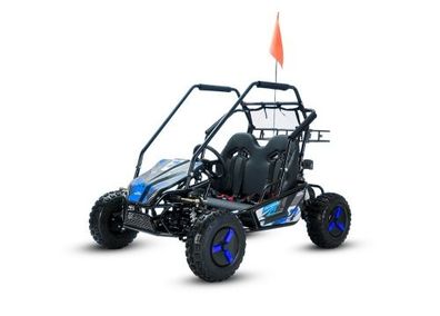 Buggy Kinderbuggy Benzinbuggy Forest 212cc Automatik GoKart Kart