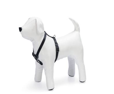 Karlie ASP Hundegeschirr Basic schwarz 45 - 70 cm, 20 mm