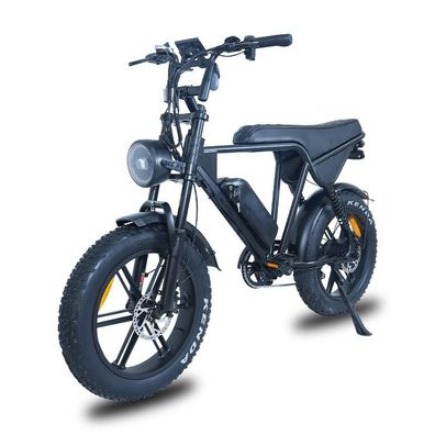 20" Offroad Elektrofahrrad 48V/15AH 65 km Reichweite Elektro Mountainbike 25 km/h