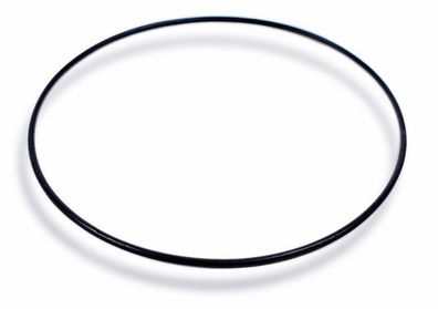Dichtungsring Casio O-Ring schwarz für WV-M120DE 10268264