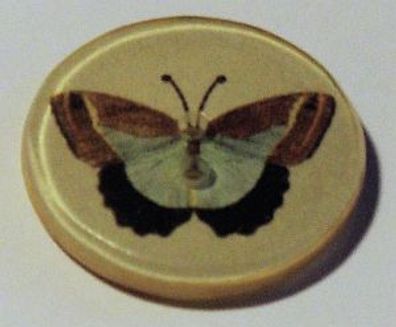 2 Loch-Knopf "Schmetterling" - 23mm Durchmesser
