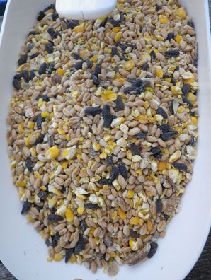 Hühnerfutter Legehennen Naturkorn Körnermischung 7,5 kg