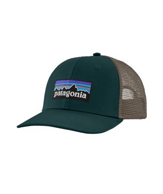 Patagonia Snapback Trucker Cap P-6 Logo cascade green
