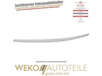 Zier-/Schutzleiste, Kühlergitter Diederichs 1428001 für FORD